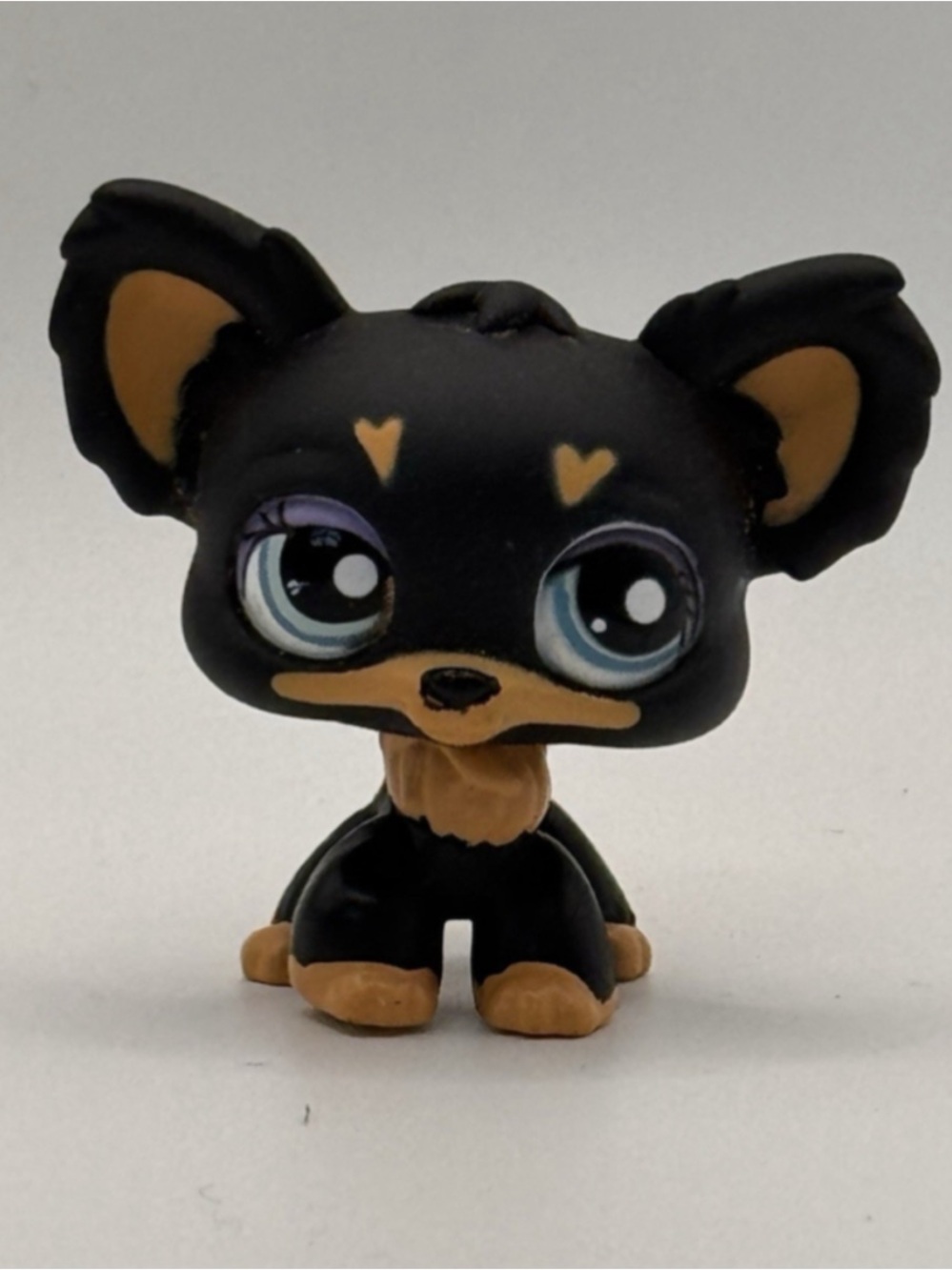 Littlest Pet Shop #1671 Black Tan Chihuahua Dog Blue Eyes Puppy LPS 2007